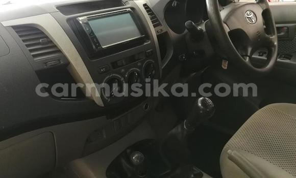 Acheter Occasion Voiture Toyota Hilux Blanc à Beitbridge, Matabeleland South Acheter Occasion Voiture Toyota Hilux Blanc à Beitbridge, Matabeleland South