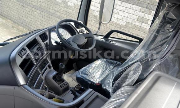 Tenga Tsaru Nissan UD Chena Rori in Beitbridge in Matabeleland South Tenga Tsaru Nissan UD Chena Rori in Beitbridge in Matabeleland South