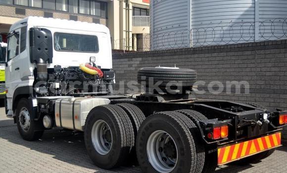 Tenga Tsaru Nissan UD Chena Rori in Beitbridge in Matabeleland South Tenga Tsaru Nissan UD Chena Rori in Beitbridge in Matabeleland South