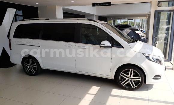 Tenga Tsaru Mercedes‒Benz Vito Chena Mota in Beitbridge in Matabeleland South Tenga Tsaru Mercedes‒Benz Vito Chena Mota in Beitbridge in Matabeleland South