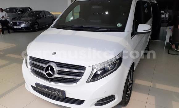 Tenga Tsaru Mercedes‒Benz Vito Chena Mota in Beitbridge in Matabeleland South Tenga Tsaru Mercedes‒Benz Vito Chena Mota in Beitbridge in Matabeleland South