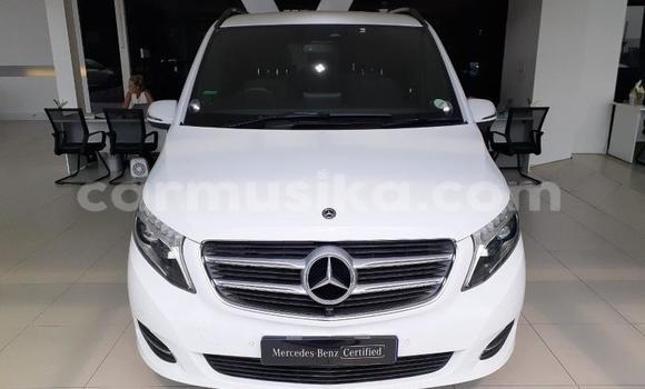 Tenga Tsaru Mercedes‒Benz Vito Chena Mota in Beitbridge in Matabeleland South Tenga Tsaru Mercedes‒Benz Vito Chena Mota in Beitbridge in Matabeleland South