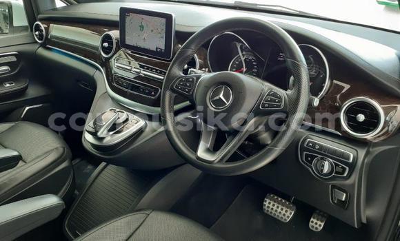 Tenga Tsaru Mercedes‒Benz Vito Chena Mota in Beitbridge in Matabeleland South Tenga Tsaru Mercedes‒Benz Vito Chena Mota in Beitbridge in Matabeleland South