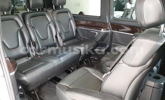 Tenga Tsaru Mercedes‒Benz Vito Chena Mota in Beitbridge in Matabeleland South Tenga Tsaru Mercedes‒Benz Vito Chena Mota in Beitbridge in Matabeleland South