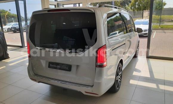 Acheter Occasion Voiture Mercedes‒Benz Vito Gris à Beitbridge, Matabeleland South Acheter Occasion Voiture Mercedes‒Benz Vito Gris à Beitbridge, Matabeleland South