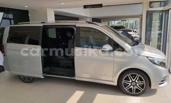 Acheter Occasion Voiture Mercedes‒Benz Vito Gris à Beitbridge, Matabeleland South Acheter Occasion Voiture Mercedes‒Benz Vito Gris à Beitbridge, Matabeleland South