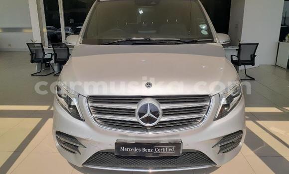 Acheter Occasion Voiture Mercedes‒Benz Vito Gris à Beitbridge, Matabeleland South Acheter Occasion Voiture Mercedes‒Benz Vito Gris à Beitbridge, Matabeleland South