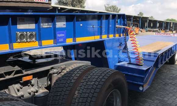 Tenga Tsaru DAF CF Bhuruu Rori in Beitbridge in Matabeleland South Tenga Tsaru DAF CF Bhuruu Rori in Beitbridge in Matabeleland South