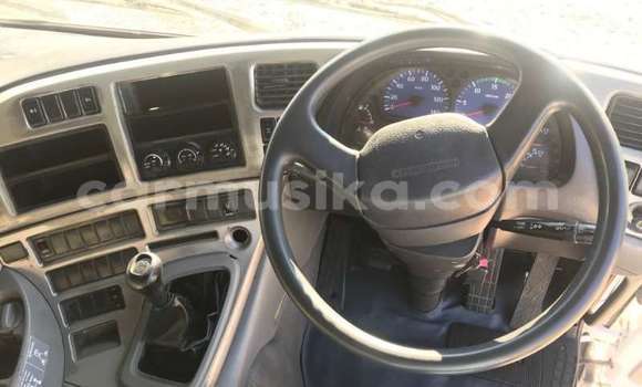 Tenga Tsaru Nissan UD Chena Rori in Beitbridge in Matabeleland South Tenga Tsaru Nissan UD Chena Rori in Beitbridge in Matabeleland South