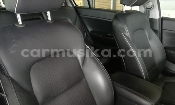 Acheter Occasion Voiture Kia Sportage Blanc à Beitbridge, Matabeleland South Acheter Occasion Voiture Kia Sportage Blanc à Beitbridge, Matabeleland South