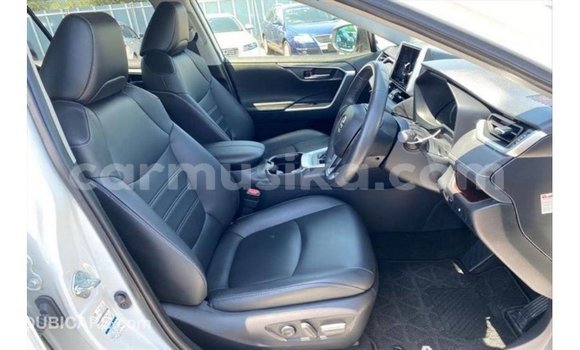 Nunua Imported Toyota HiAce Nyeupe Lori ndani ya Import - Dubai nchini Harare Nunua Imported Toyota HiAce Nyeupe Lori ndani ya Import - Dubai nchini Harare