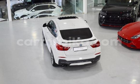 Tenga Tsaru BMW X6 M Chena Mota in Beitbridge in Matabeleland South Tenga Tsaru BMW X6 M Chena Mota in Beitbridge in Matabeleland South