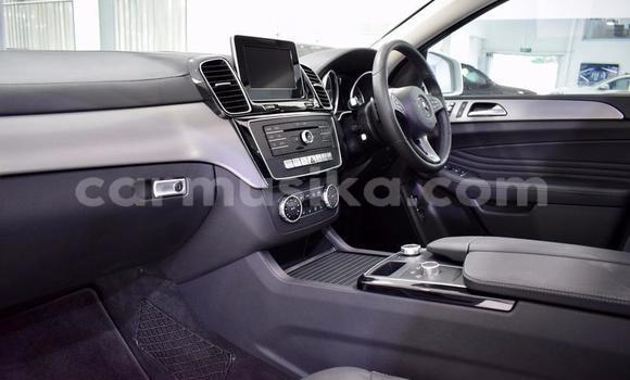 Tenga Tsaru Mercedes‒Benz GL–Class Chena Mota in Beitbridge in Matabeleland South Tenga Tsaru Mercedes‒Benz GL–Class Chena Mota in Beitbridge in Matabeleland South