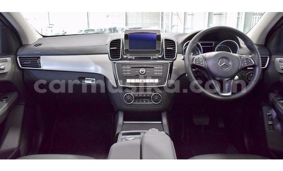 Tenga Tsaru Mercedes‒Benz GL–Class Chena Mota in Beitbridge in Matabeleland South Tenga Tsaru Mercedes‒Benz GL–Class Chena Mota in Beitbridge in Matabeleland South