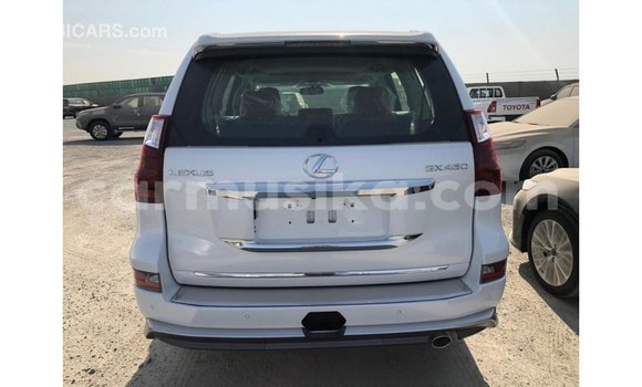 Acheter Import Voiture Lexus GX Blanc à Import - Dubai, Harare Acheter Import Voiture Lexus GX Blanc à Import - Dubai, Harare