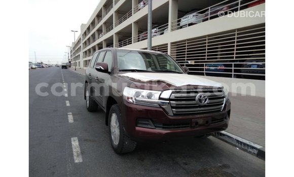 Acheter Import Voiture Toyota Land Cruiser Marron à Import - Dubai, Harare Acheter Import Voiture Toyota Land Cruiser Marron à Import - Dubai, Harare