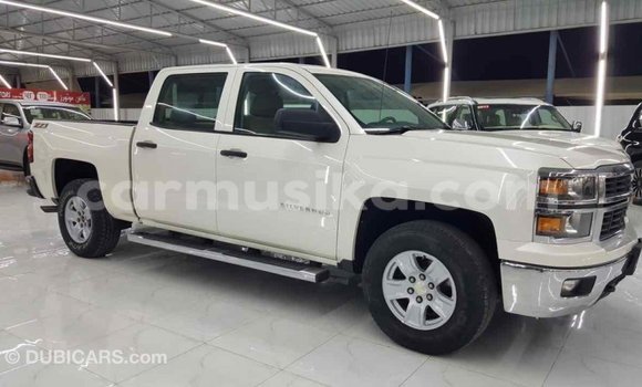 Nunua Imported Chevrolet Silverado Nyeupe Gari ndani ya Import - Dubai nchini Harare Nunua Imported Chevrolet Silverado Nyeupe Gari ndani ya Import - Dubai nchini Harare