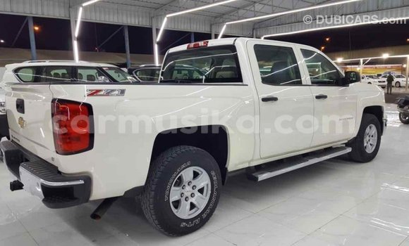 Nunua Imported Chevrolet Silverado Nyeupe Gari ndani ya Import - Dubai nchini Harare