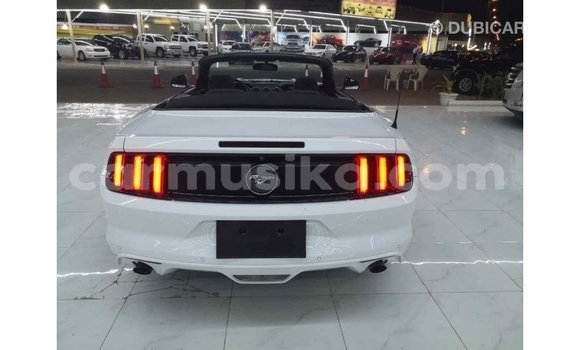Nunua Imported Ford Mustang Nyeupe Gari ndani ya Import - Dubai nchini Harare Nunua Imported Ford Mustang Nyeupe Gari ndani ya Import - Dubai nchini Harare