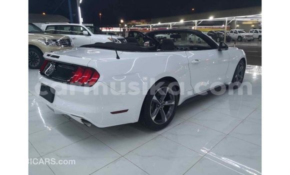 Nunua Imported Ford Mustang Nyeupe Gari ndani ya Import - Dubai nchini Harare Nunua Imported Ford Mustang Nyeupe Gari ndani ya Import - Dubai nchini Harare