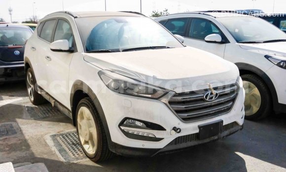 Acheter Import Voiture Hyundai Tucson Blanc à Import - Dubai, Harare Acheter Import Voiture Hyundai Tucson Blanc à Import - Dubai, Harare