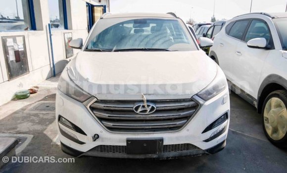 Acheter Import Voiture Hyundai Tucson Blanc à Import - Dubai, Harare Acheter Import Voiture Hyundai Tucson Blanc à Import - Dubai, Harare