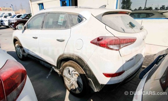 Acheter Import Voiture Hyundai Tucson Blanc à Import - Dubai, Harare Acheter Import Voiture Hyundai Tucson Blanc à Import - Dubai, Harare