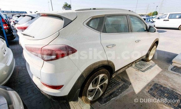 Acheter Import Voiture Hyundai Tucson Blanc à Import - Dubai, Harare Acheter Import Voiture Hyundai Tucson Blanc à Import - Dubai, Harare