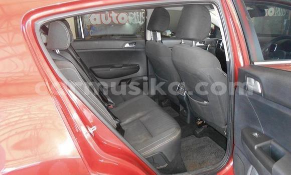 Acheter Occasion Voiture Kia Sportage Rouge à Beitbridge, Matabeleland South Acheter Occasion Voiture Kia Sportage Rouge à Beitbridge, Matabeleland South