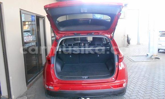 Acheter Occasion Voiture Kia Sportage Rouge à Beitbridge, Matabeleland South Acheter Occasion Voiture Kia Sportage Rouge à Beitbridge, Matabeleland South