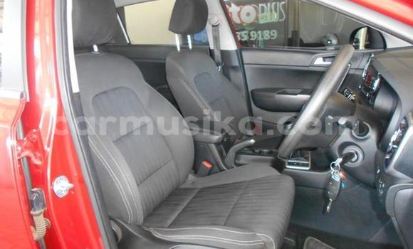 Acheter Occasion Voiture Kia Sportage Rouge à Beitbridge, Matabeleland South Acheter Occasion Voiture Kia Sportage Rouge à Beitbridge, Matabeleland South