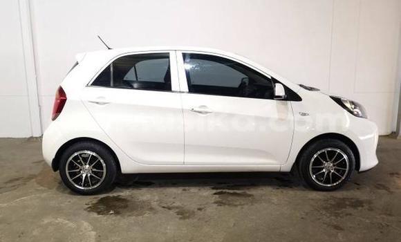 Tenga Tsaru Kia Picanto Chena Mota in Beitbridge in Matabeleland South Tenga Tsaru Kia Picanto Chena Mota in Beitbridge in Matabeleland South