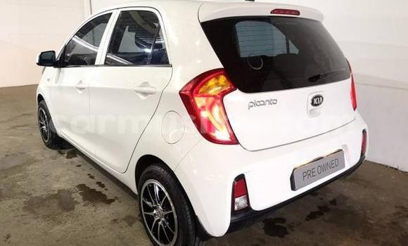 Tenga Tsaru Kia Picanto Chena Mota in Beitbridge in Matabeleland South Tenga Tsaru Kia Picanto Chena Mota in Beitbridge in Matabeleland South