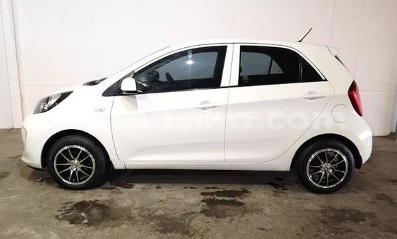 Tenga Tsaru Kia Picanto Chena Mota in Beitbridge in Matabeleland South Tenga Tsaru Kia Picanto Chena Mota in Beitbridge in Matabeleland South