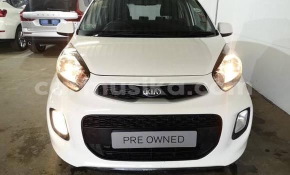 Tenga Tsaru Kia Picanto Chena Mota in Beitbridge in Matabeleland South Tenga Tsaru Kia Picanto Chena Mota in Beitbridge in Matabeleland South