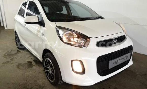 Tenga Tsaru Kia Picanto Chena Mota in Beitbridge in Matabeleland South Tenga Tsaru Kia Picanto Chena Mota in Beitbridge in Matabeleland South