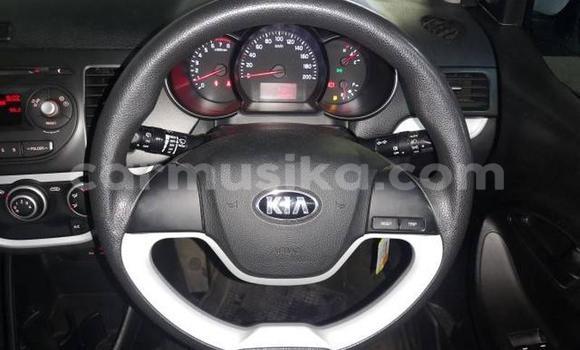 Tenga Tsaru Kia Picanto Chena Mota in Beitbridge in Matabeleland South Tenga Tsaru Kia Picanto Chena Mota in Beitbridge in Matabeleland South