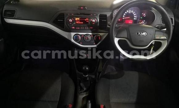 Tenga Tsaru Kia Picanto Chena Mota in Beitbridge in Matabeleland South Tenga Tsaru Kia Picanto Chena Mota in Beitbridge in Matabeleland South