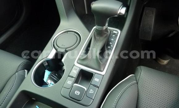 Acheter Occasion Voiture Kia Sportage Vert à Beitbridge, Matabeleland South Acheter Occasion Voiture Kia Sportage Vert à Beitbridge, Matabeleland South