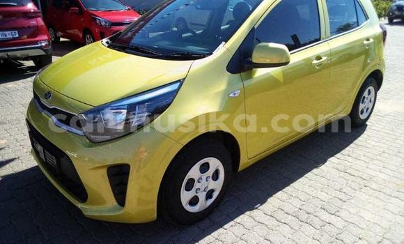 Buy Used Kia Picanto Green Car in Beitbridge in Matabeleland South Buy Used Kia Picanto Green Car in Beitbridge in Matabeleland South