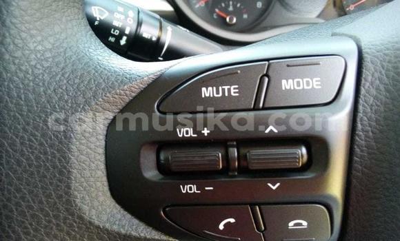 Buy Used Kia Picanto Green Car in Beitbridge in Matabeleland South Buy Used Kia Picanto Green Car in Beitbridge in Matabeleland South