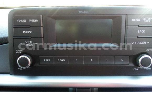 Buy Used Kia Picanto Green Car in Beitbridge in Matabeleland South Buy Used Kia Picanto Green Car in Beitbridge in Matabeleland South