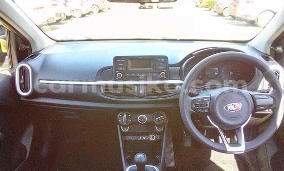 Buy Used Kia Picanto Green Car in Beitbridge in Matabeleland South Buy Used Kia Picanto Green Car in Beitbridge in Matabeleland South