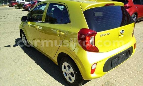 Buy Used Kia Picanto Green Car in Beitbridge in Matabeleland South Buy Used Kia Picanto Green Car in Beitbridge in Matabeleland South