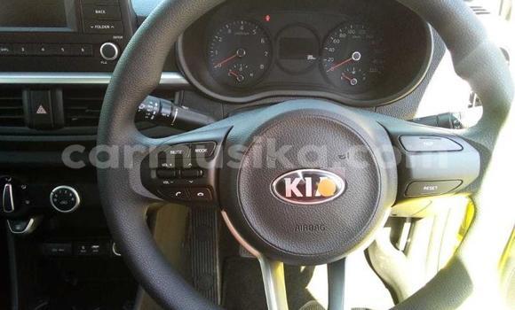 Buy Used Kia Picanto Green Car in Beitbridge in Matabeleland South Buy Used Kia Picanto Green Car in Beitbridge in Matabeleland South