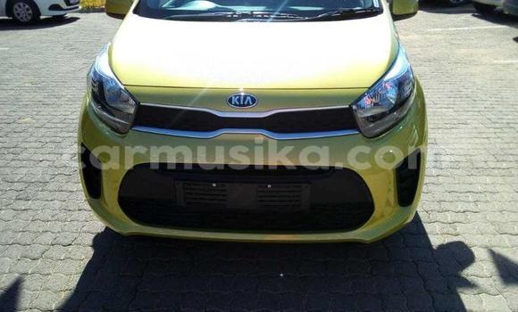 Buy Used Kia Picanto Green Car in Beitbridge in Matabeleland South Buy Used Kia Picanto Green Car in Beitbridge in Matabeleland South