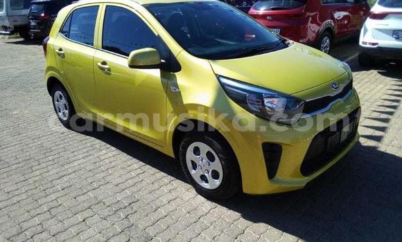 Buy Used Kia Picanto Green Car in Beitbridge in Matabeleland South Buy Used Kia Picanto Green Car in Beitbridge in Matabeleland South