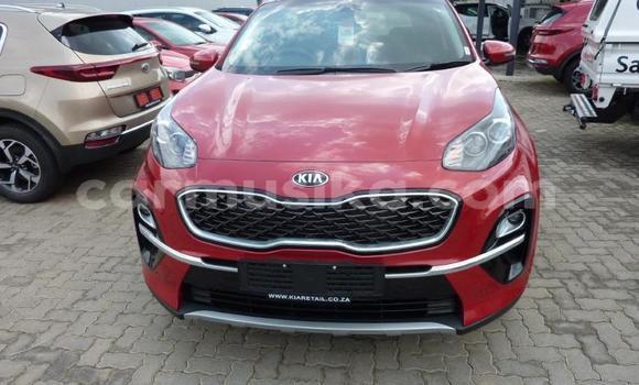 Nunua Ilio tumika Kia Sportage Nyekundu Gari ndani ya Beitbridge nchini Matabeleland Kusini Nunua Ilio tumika Kia Sportage Nyekundu Gari ndani ya Beitbridge nchini Matabeleland Kusini