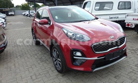 Nunua Ilio tumika Kia Sportage Nyekundu Gari ndani ya Beitbridge nchini Matabeleland Kusini Nunua Ilio tumika Kia Sportage Nyekundu Gari ndani ya Beitbridge nchini Matabeleland Kusini