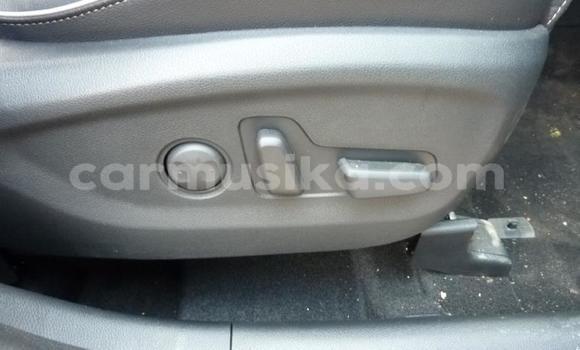 Nunua Ilio tumika Kia Sportage Nyekundu Gari ndani ya Beitbridge nchini Matabeleland Kusini Nunua Ilio tumika Kia Sportage Nyekundu Gari ndani ya Beitbridge nchini Matabeleland Kusini